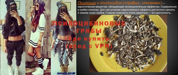 ALPHA PVP Бородино