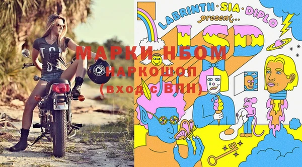 ГАЛЛЮЦИНОГЕННЫЕ ГРИБЫ Бугульма