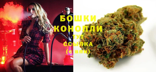ГАЛЛЮЦИНОГЕННЫЕ ГРИБЫ Бугульма