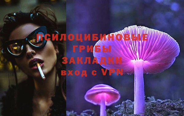 ALPHA PVP Бородино