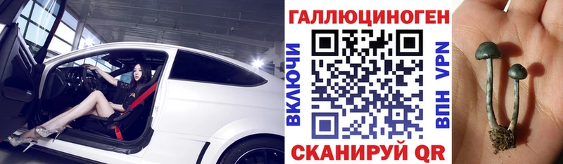 Псилоцибиновые грибы прущие грибы  Елабуга 